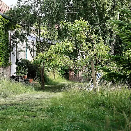 Angel Village