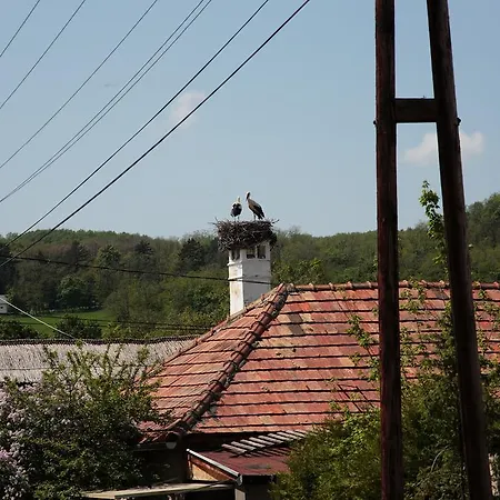 Angel Village